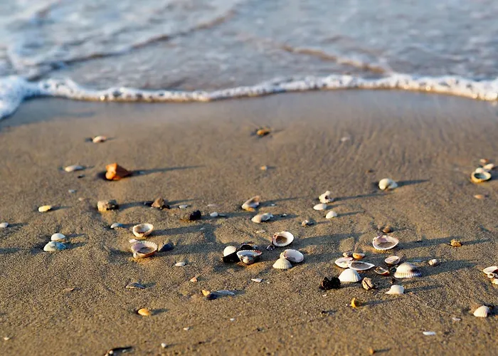 Lejlighed In 38261 Bibione