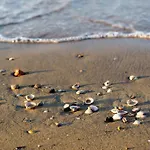 Apartment In 38261 Bibione